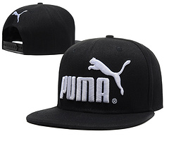 Puma [Ref. 06]